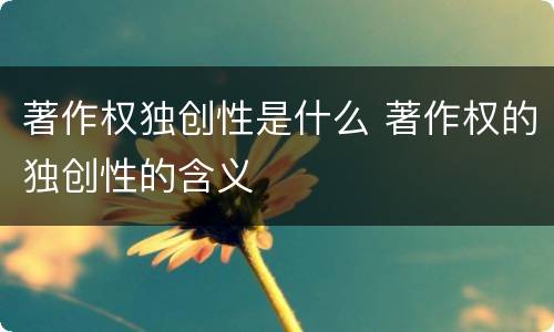著作权独创性是什么 著作权的独创性的含义