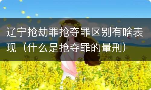 辽宁抢劫罪抢夺罪区别有啥表现（什么是抢夺罪的量刑）