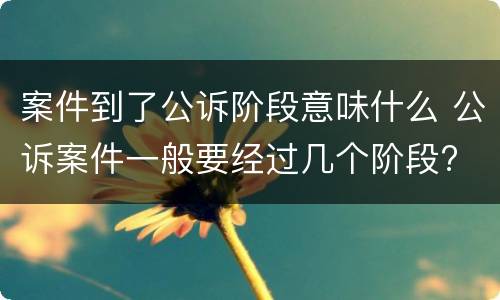 案件到了公诉阶段意味什么 公诉案件一般要经过几个阶段?
