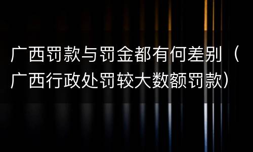 广西罚款与罚金都有何差别（广西行政处罚较大数额罚款）