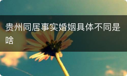 贵州同居事实婚姻具体不同是啥