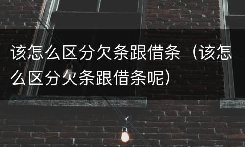 该怎么区分欠条跟借条（该怎么区分欠条跟借条呢）