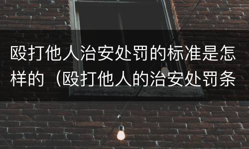 殴打他人治安处罚的标准是怎样的（殴打他人的治安处罚条款）