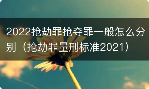 2022抢劫罪抢夺罪一般怎么分别（抢劫罪量刑标准2021）