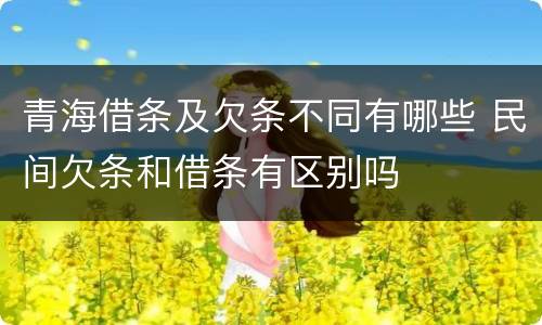 青海借条及欠条不同有哪些 民间欠条和借条有区别吗