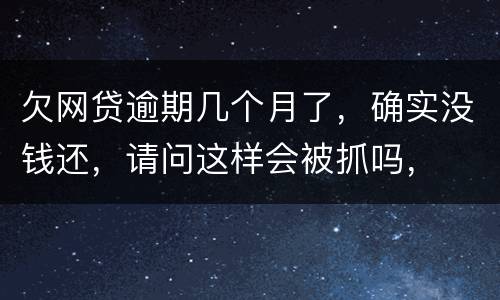 欠网贷逾期几个月了，确实没钱还，请问这样会被抓吗，