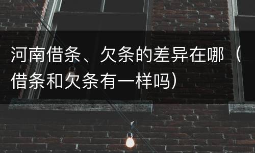 河南借条、欠条的差异在哪（借条和欠条有一样吗）
