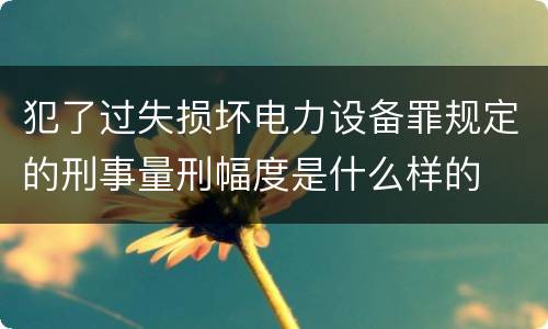 犯了过失损坏电力设备罪规定的刑事量刑幅度是什么样的