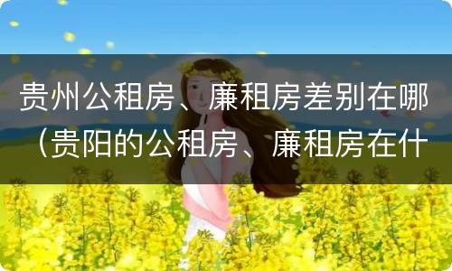 贵州公租房、廉租房差别在哪（贵阳的公租房、廉租房在什么地方?）