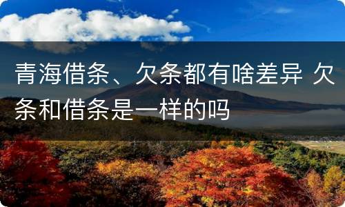 青海借条、欠条都有啥差异 欠条和借条是一样的吗