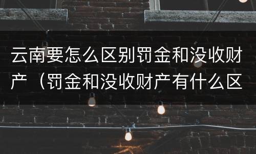 云南要怎么区别罚金和没收财产（罚金和没收财产有什么区别）