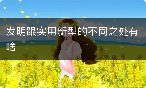 发明跟实用新型的不同之处有啥