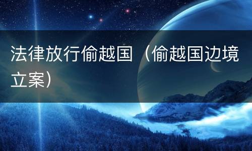 法律放行偷越国（偷越国边境立案）