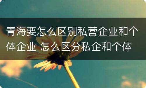 青海要怎么区别私营企业和个体企业 怎么区分私企和个体
