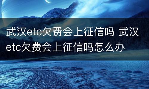 武汉etc欠费会上征信吗 武汉etc欠费会上征信吗怎么办