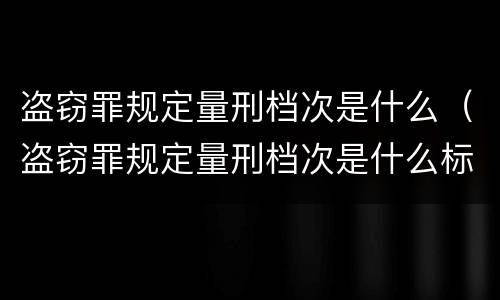 盗窃罪规定量刑档次是什么（盗窃罪规定量刑档次是什么标准）