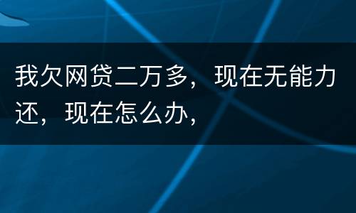 我欠网贷二万多，现在无能力还，现在怎么办，