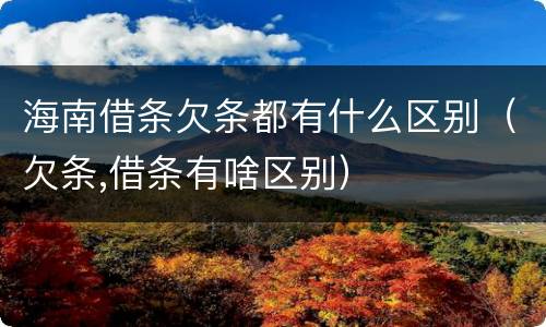 海南借条欠条都有什么区别（欠条,借条有啥区别）