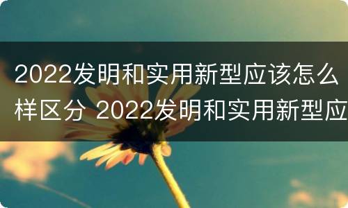 2022发明和实用新型应该怎么样区分 2022发明和实用新型应该怎么样区分呢