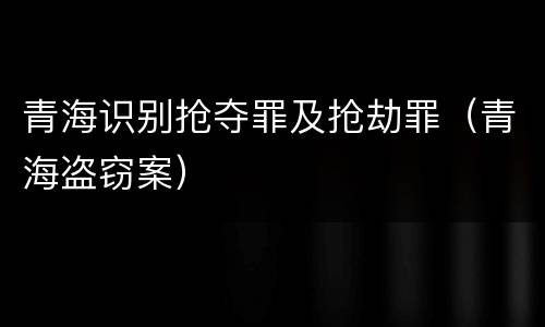青海识别抢夺罪及抢劫罪（青海盗窃案）