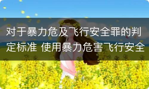 对于暴力危及飞行安全罪的判定标准 使用暴力危害飞行安全罪的主要特征