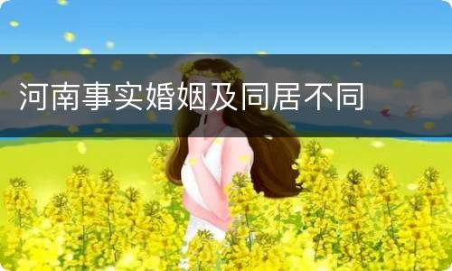 河南事实婚姻及同居不同