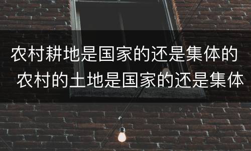 农村耕地是国家的还是集体的 农村的土地是国家的还是集体的