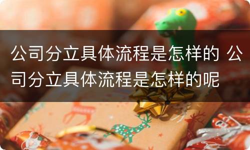 公司分立具体流程是怎样的 公司分立具体流程是怎样的呢