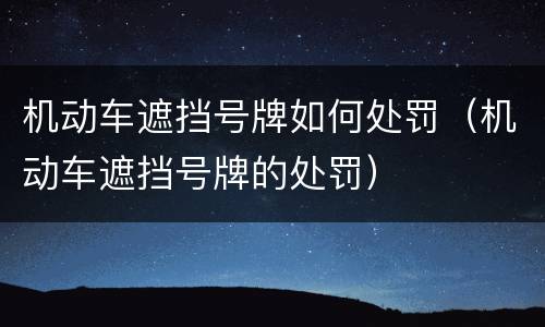 机动车遮挡号牌如何处罚（机动车遮挡号牌的处罚）