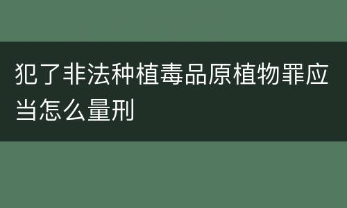 犯了非法种植毒品原植物罪应当怎么量刑