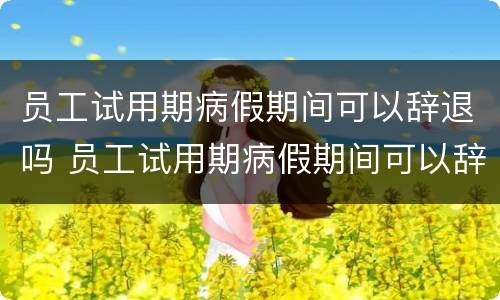 员工试用期病假期间可以辞退吗 员工试用期病假期间可以辞退吗合法吗