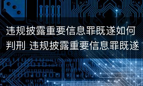 违规披露重要信息罪既遂如何判刑 违规披露重要信息罪既遂如何判刑的
