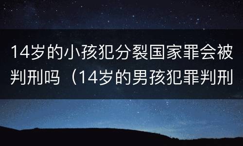 14岁的小孩犯分裂国家罪会被判刑吗（14岁的男孩犯罪判刑吗）