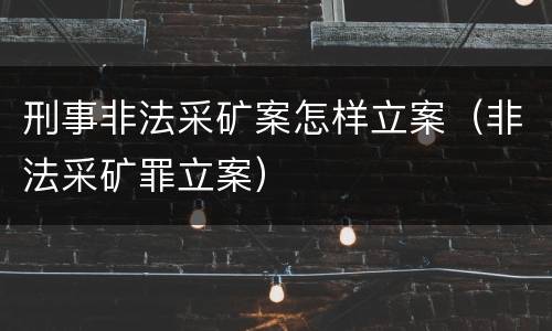 刑事非法采矿案怎样立案（非法采矿罪立案）