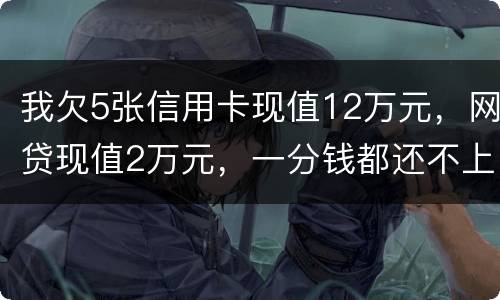 我欠5张信用卡现值12万元，网贷现值2万元，一分钱都还不上了，会判多少年
