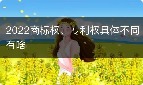 2022商标权、专利权具体不同有啥