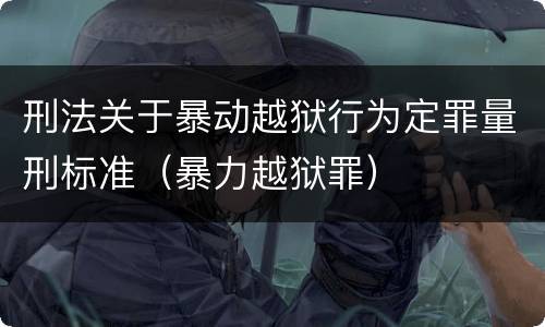 刑法关于暴动越狱行为定罪量刑标准（暴力越狱罪）