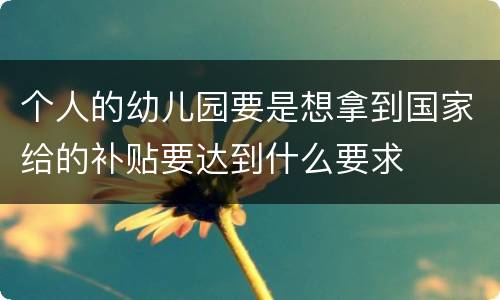 个人的幼儿园要是想拿到国家给的补贴要达到什么要求