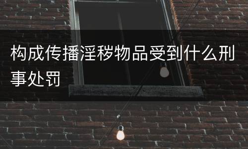 构成传播淫秽物品受到什么刑事处罚