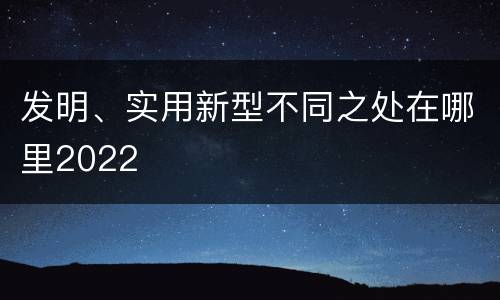 发明、实用新型不同之处在哪里2022