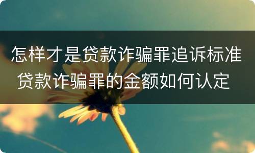 怎样才是贷款诈骗罪追诉标准 贷款诈骗罪的金额如何认定