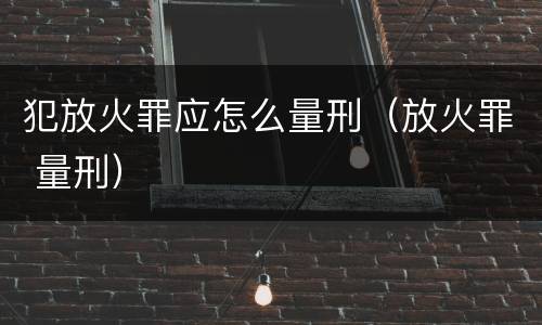 犯放火罪应怎么量刑（放火罪 量刑）