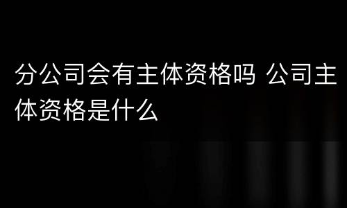 分公司会有主体资格吗 公司主体资格是什么