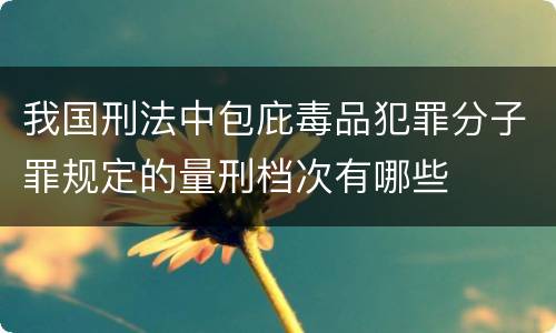 我国刑法中包庇毒品犯罪分子罪规定的量刑档次有哪些