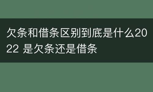欠条和借条区别到底是什么2022 是欠条还是借条
