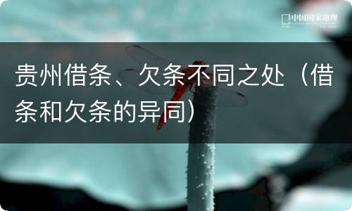贵州借条、欠条不同之处（借条和欠条的异同）