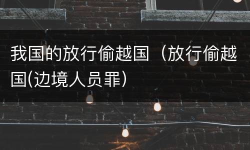 我国的放行偷越国(放行偷越国(边境人员罪)