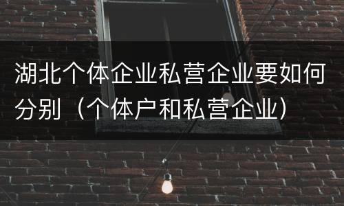 湖北个体企业私营企业要如何分别（个体户和私营企业）