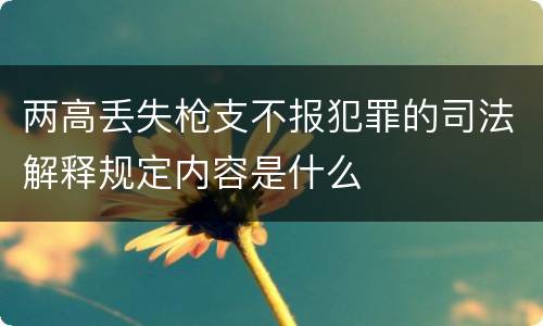 两高丢失枪支不报犯罪的司法解释规定内容是什么