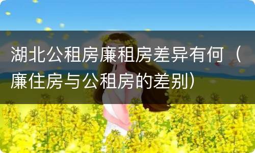 湖北公租房廉租房差异有何（廉住房与公租房的差别）